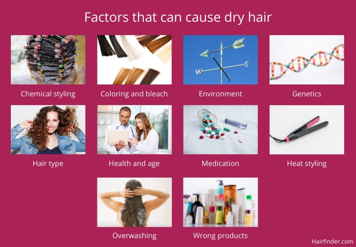 Factors that can cause dry hair
